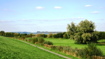 Landschaft an der Elbe