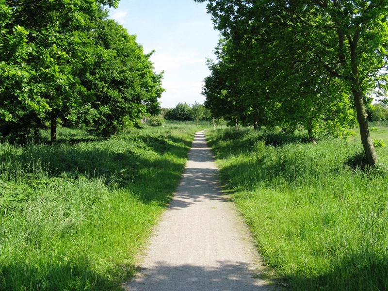 Radfahrwege in Esens und Umgebung