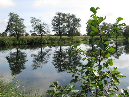 Idyllischer Teich in Ogenbargen bei Aurich
