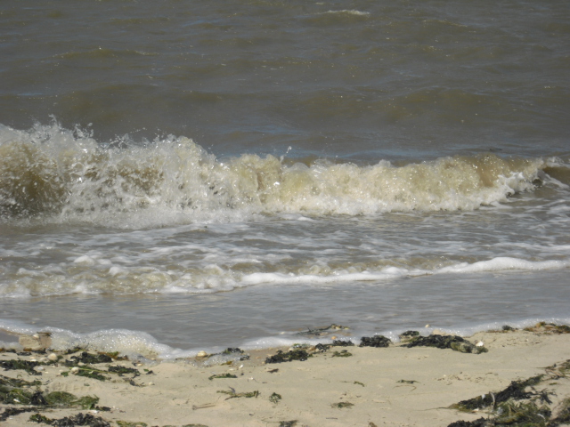 Wellen am Strand von Neuharlingersiel