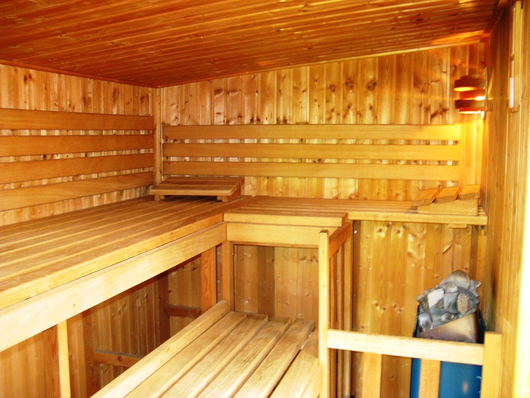 Gartensauna Ferienhaus