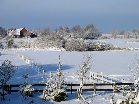 Winterlandschaft hinter der Ferienwohnung Holtgast