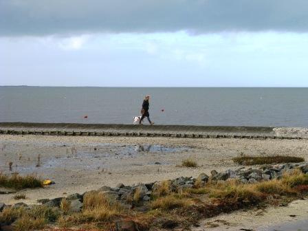 Herbst in Neuharlingersiel