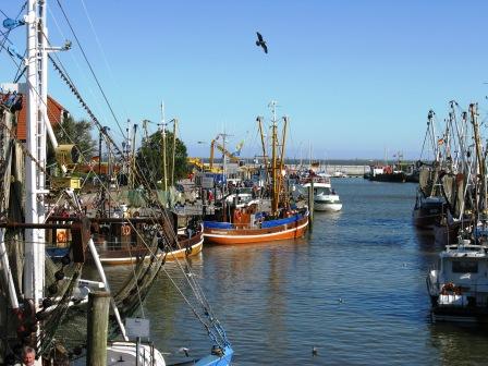 Krabbenkutter im Neuharlingersieler Hafen