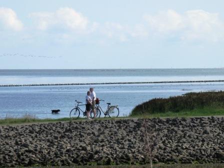 Radfahren an der Nordseek�ste